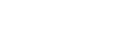University Of The Punjab